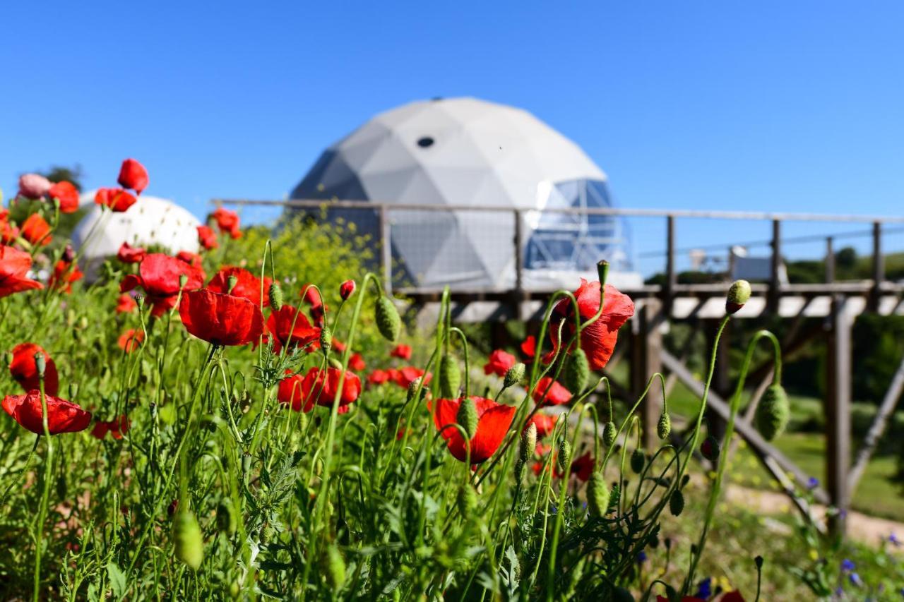 Reserva Alecrim Ecosuite & Glamping Santiago do Cacém Zewnętrze zdjęcie