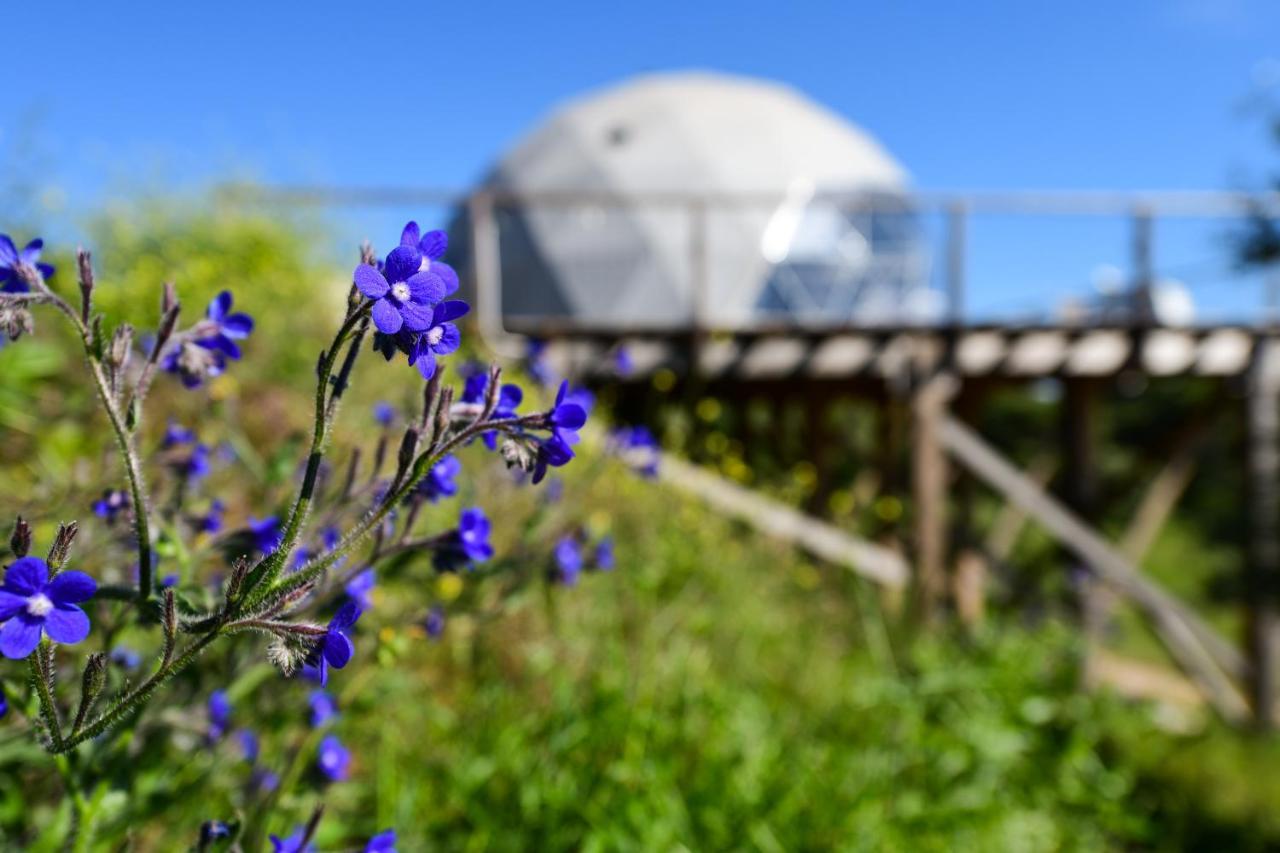 Reserva Alecrim Ecosuite & Glamping Santiago do Cacém Zewnętrze zdjęcie